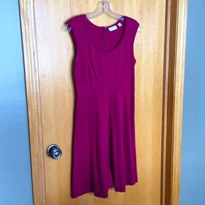 Deep Rose Red Dress